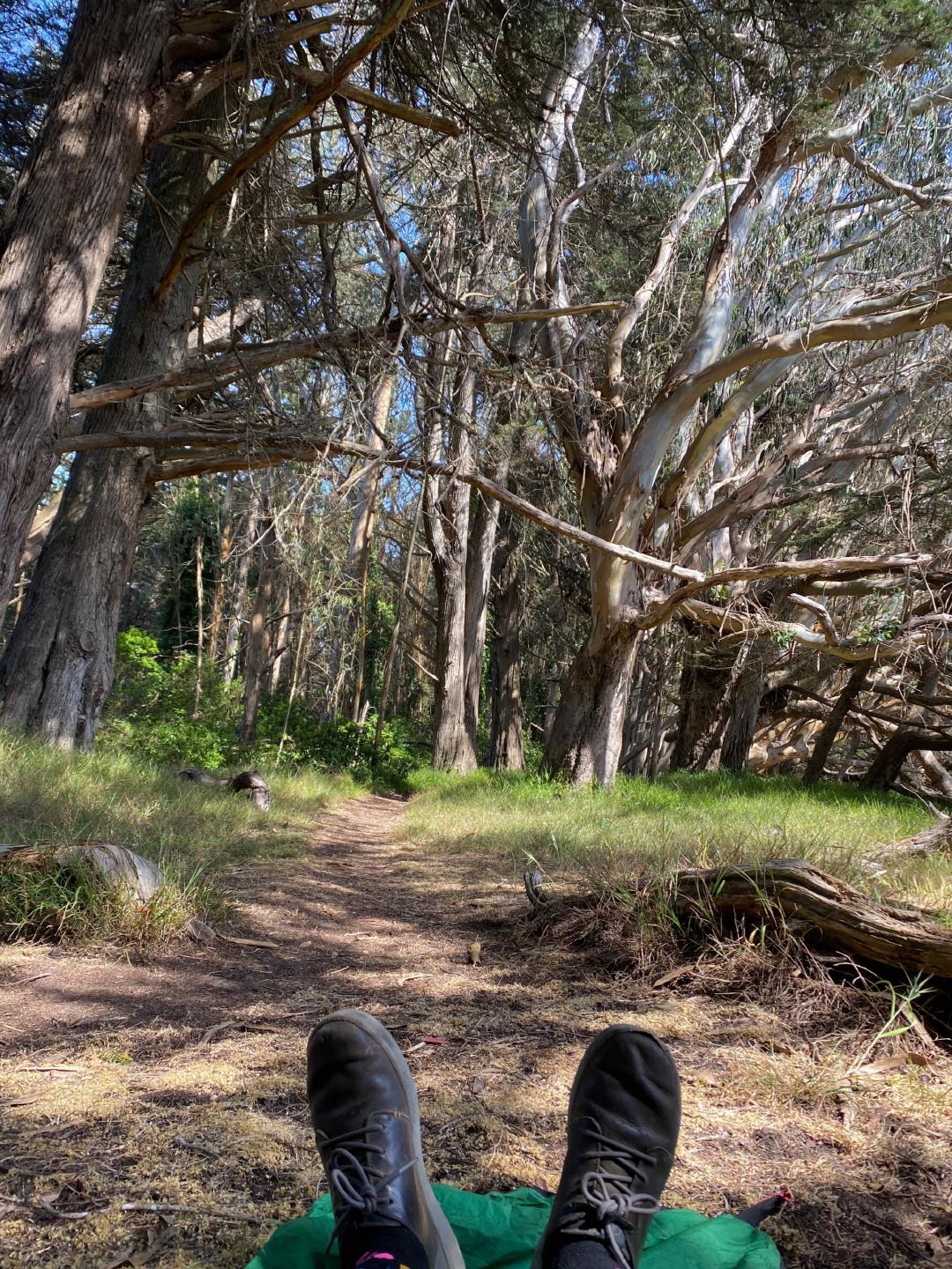 3-day Bike Camping, Guerneville -> SF