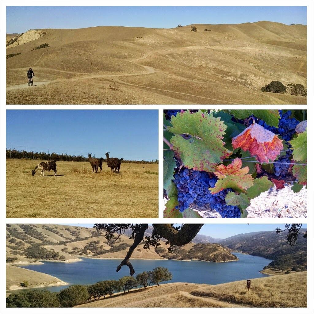 An adventurous 32-mile almost-exclusively-off-road ride in Livermore, some not-even-on-the-map paths, mostly paved, some dirt,...