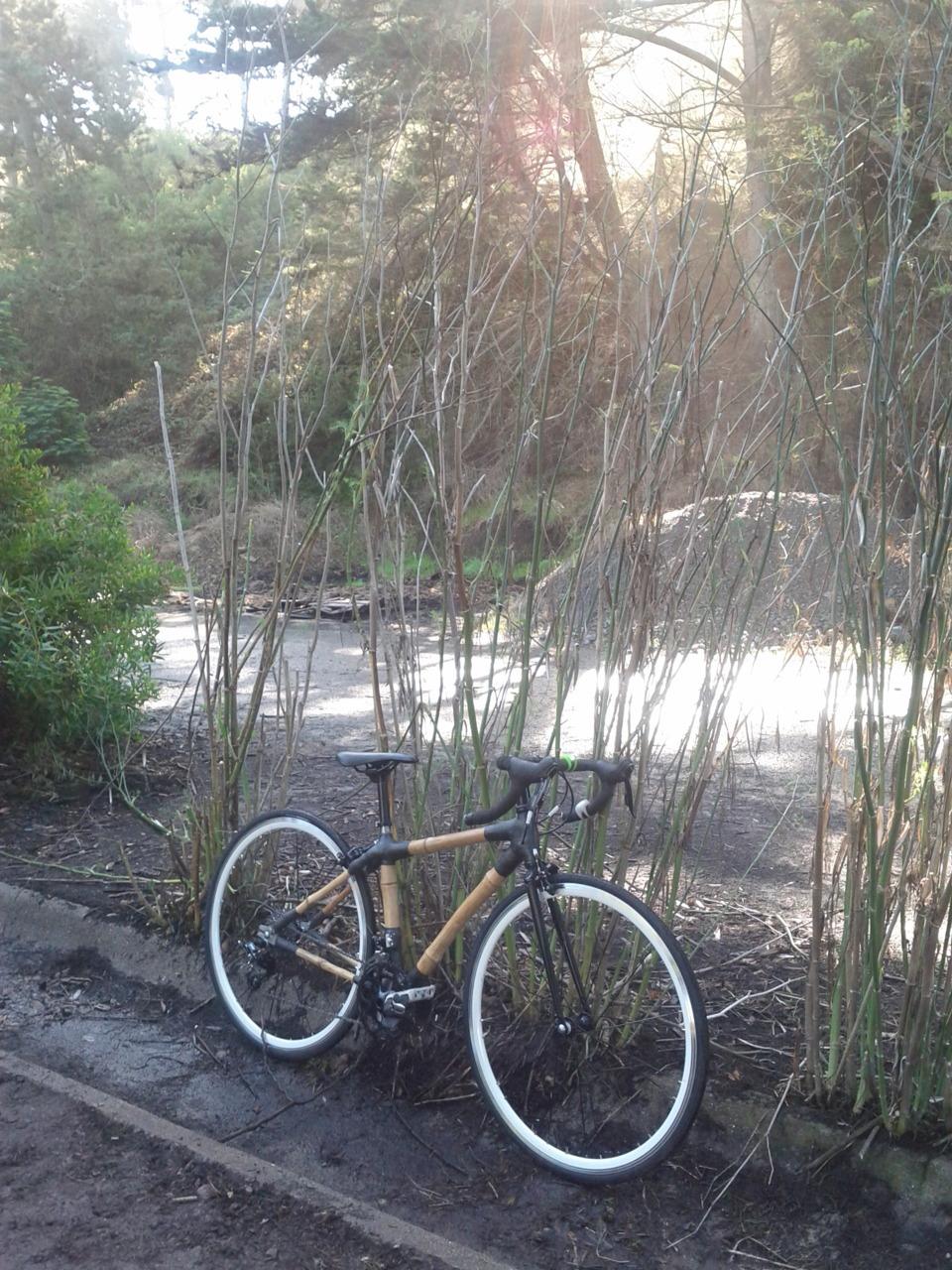Bamboo bike, bamboo