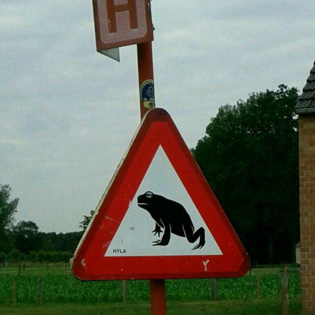 Beware of Frog?