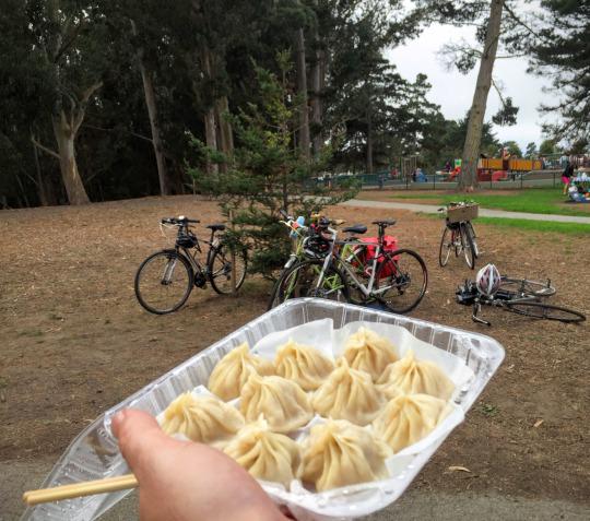 Bicycle Dumpling Tour (4th Annual)