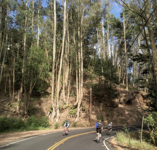 Bike Camping, Lake Chabot