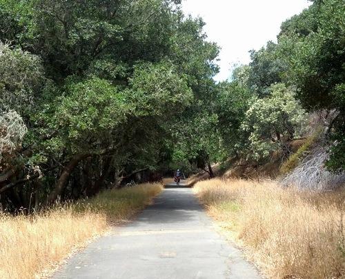 Bike Camping on Angel Island