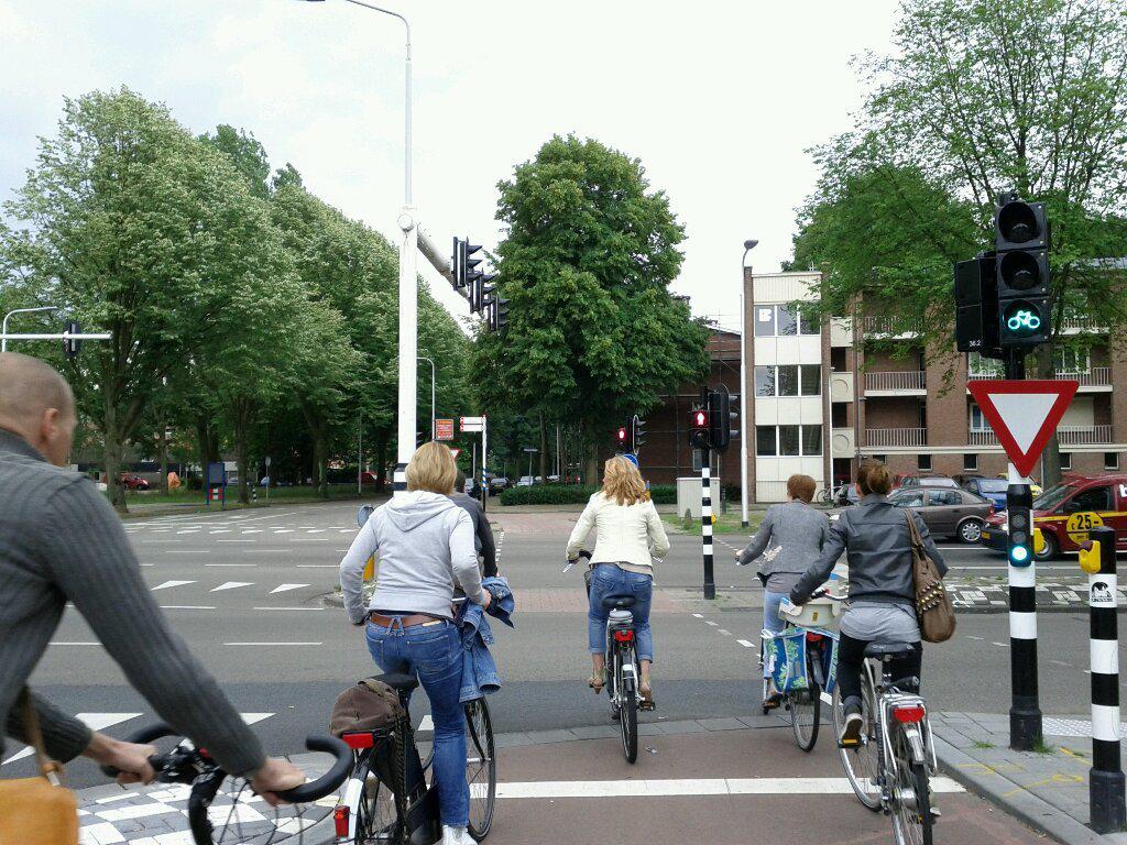 Bike traffic signals at most intersections