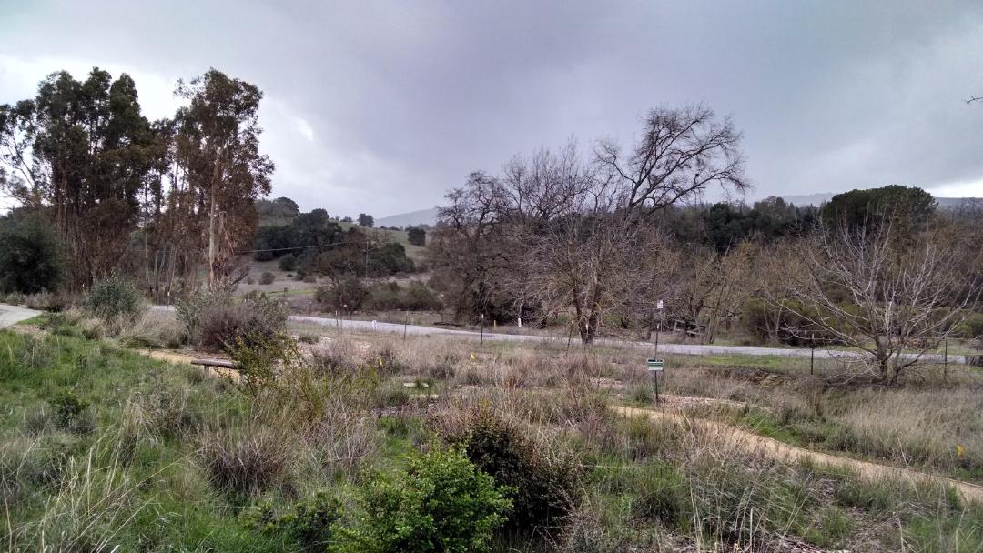 Biking Arastradero in light rain