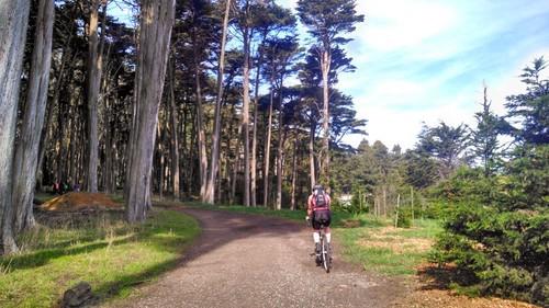 Biking dirt roads (Old Railroad Grade) up Mt Tam