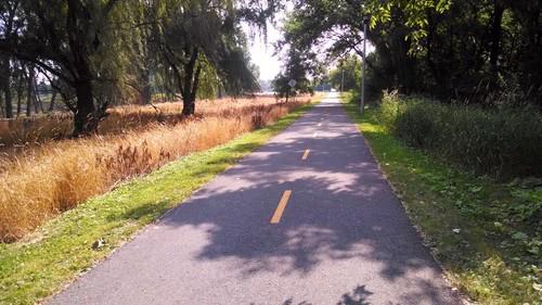 Biking in Madison