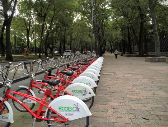 Biking Mexico City (and EcoBici bike share)