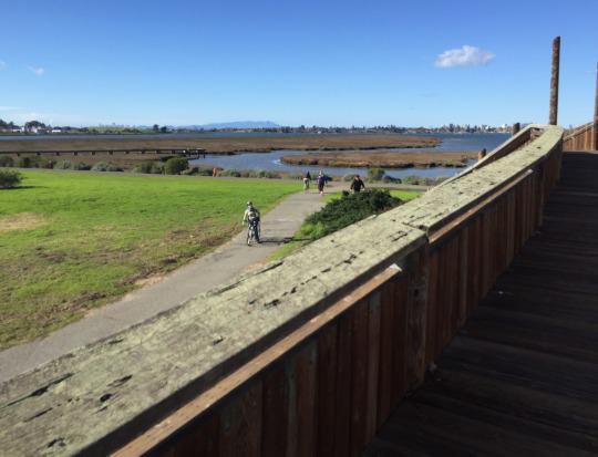 Biking -> San Leandro / Cleophus Quealy Brewing