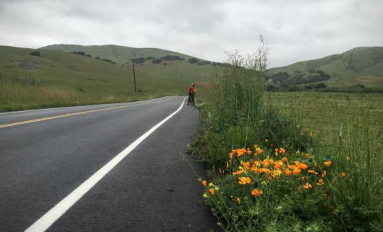 Biking SF -> the Russian River