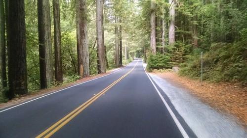 Biking, Sonoma County