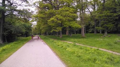 Biking to the Louisiana Modern Art Museum (North of Copenhagen)