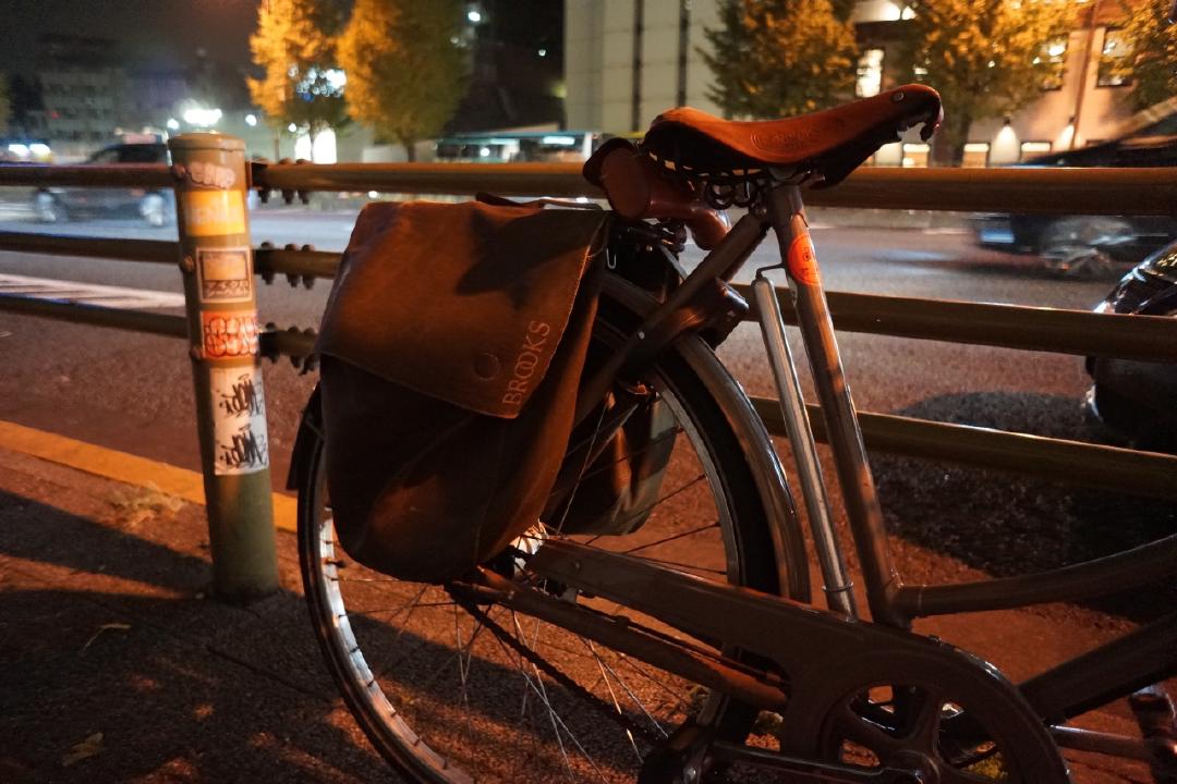 Brooks saddlebags, old frame pump