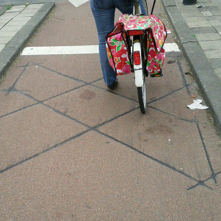 Colorful panniers (and bicycle-detecting loop for traffic signals)
