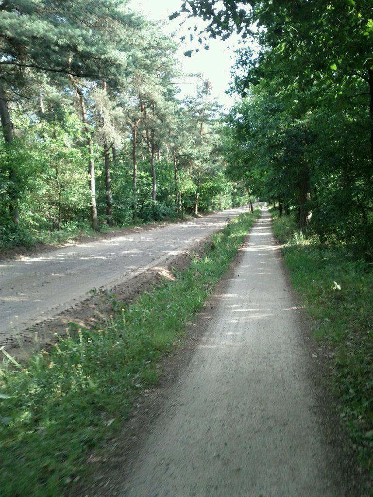 Dirt bike path beats no bike path (just west of Turnhout, on the Flanders Cycle Route LF5)