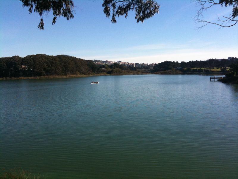 Dragon boats practicing on Lake Merced (on a surprisingly clear and warm day).