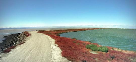 East Bay Trail / Salt Ponds / Marsh