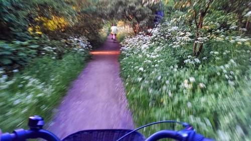 Evening Zen Tour, Copenhagen (Two Strangers, Riding in Silence)