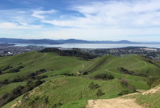 Exploring Wildcat, Tilden Parks by bike