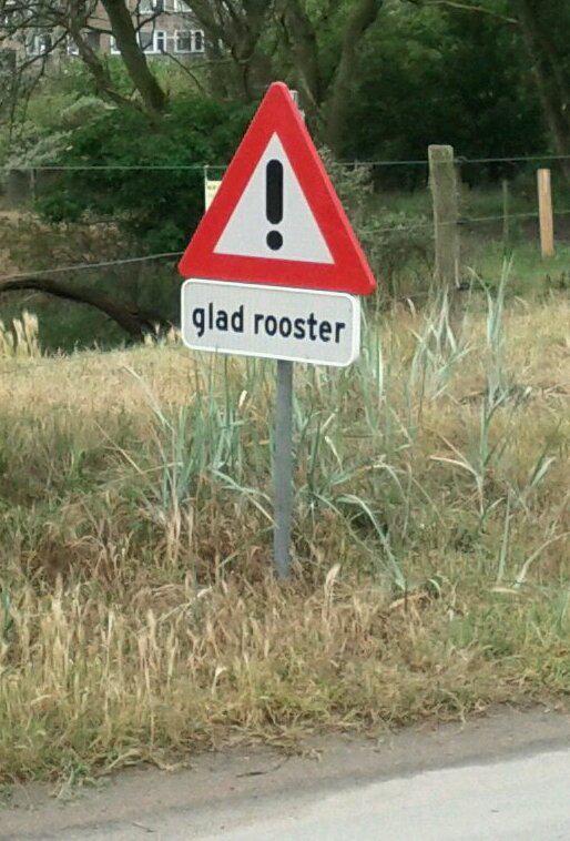 Favorite warning sign of the trip (I'm sure it has a translation, but I like to think it's warning of a giant, overly-amorous...