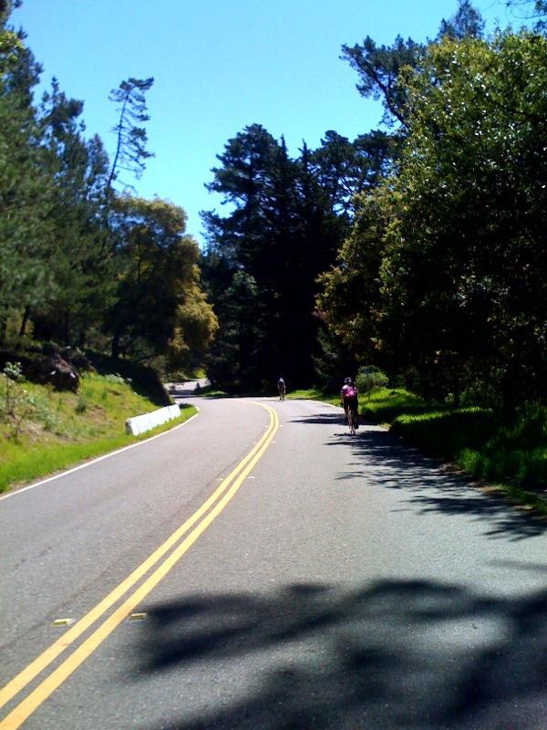 Five of us rode up into the Oakland hills this morning, up a long though not too steep climb, past eucalyptus, along a ridge...