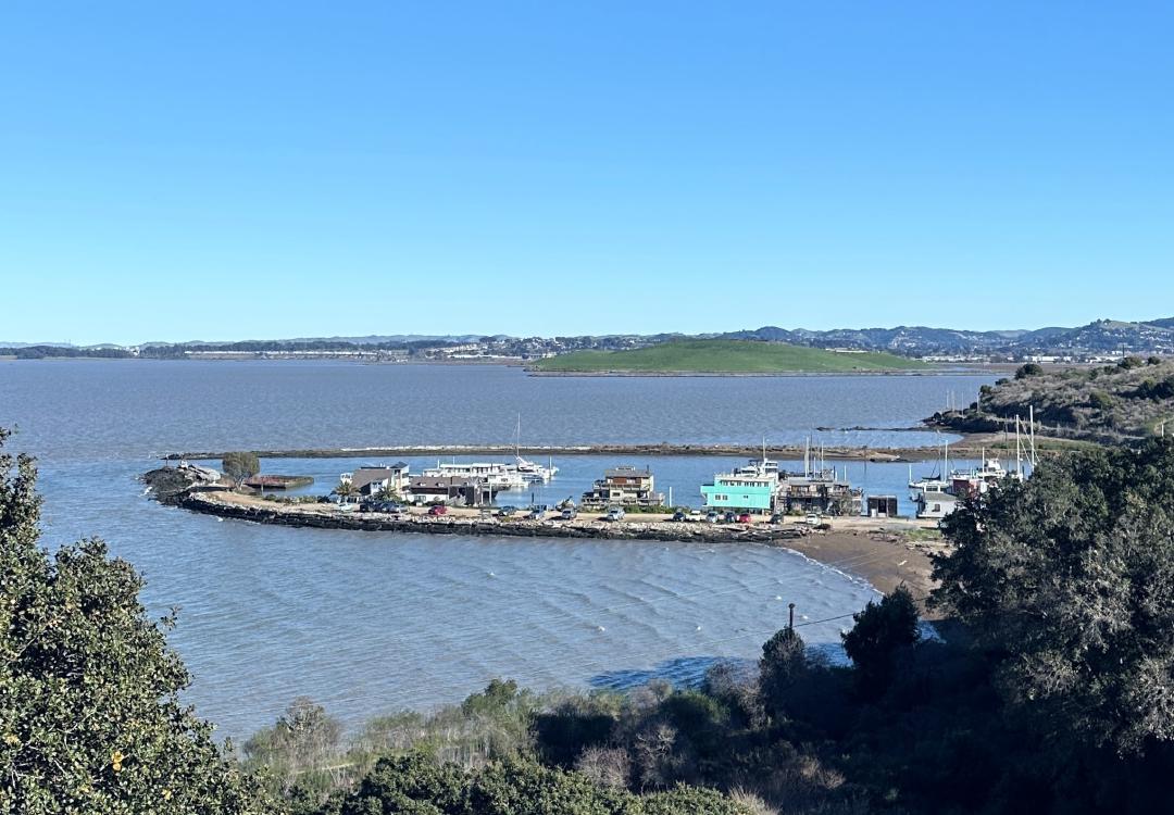 Goats, Art, Fried Fish (Point San Pablo)