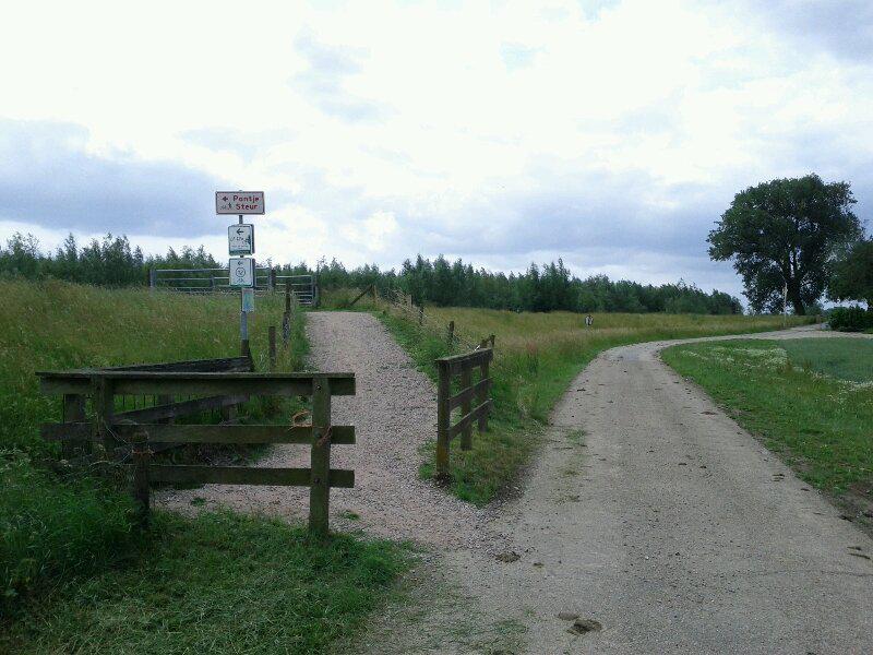 I think I need to go left here. Good thing I have wide tires.