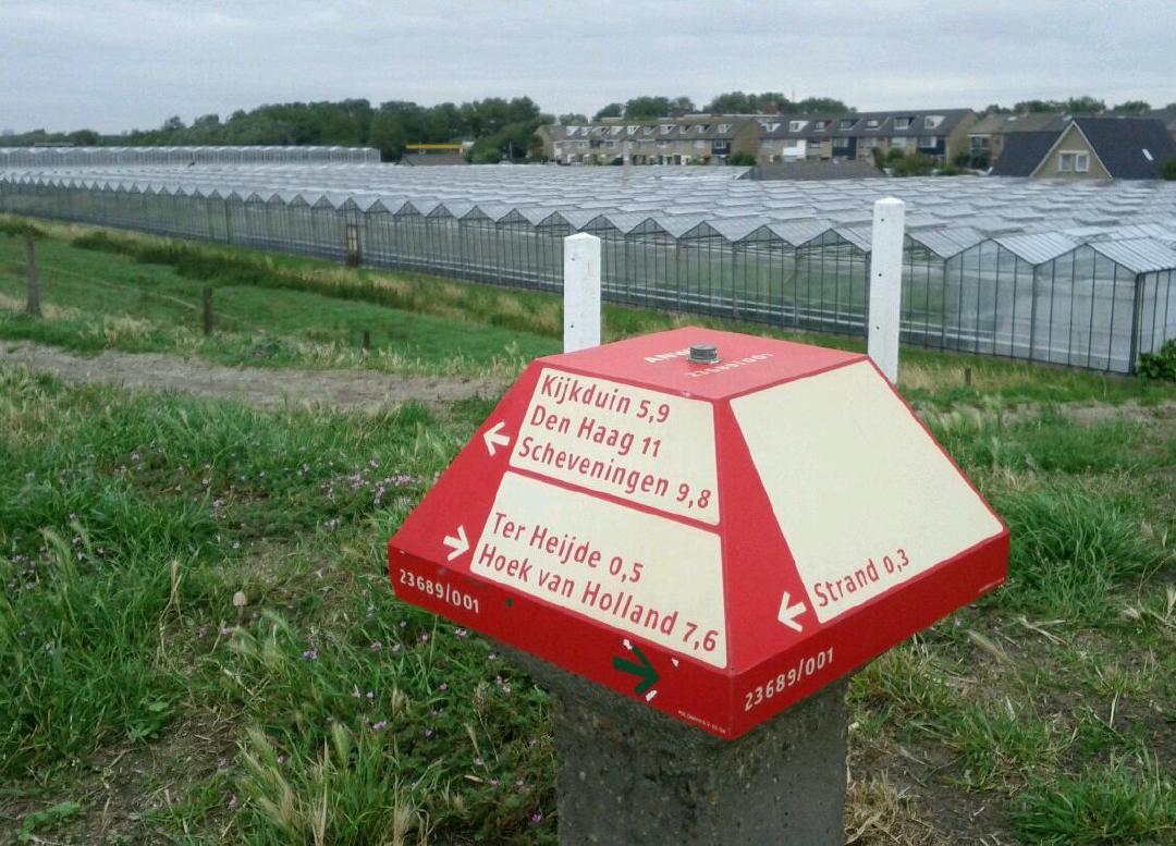 In ANWB 'directional mushrooms' I Trust. And, acres of greenhouses.