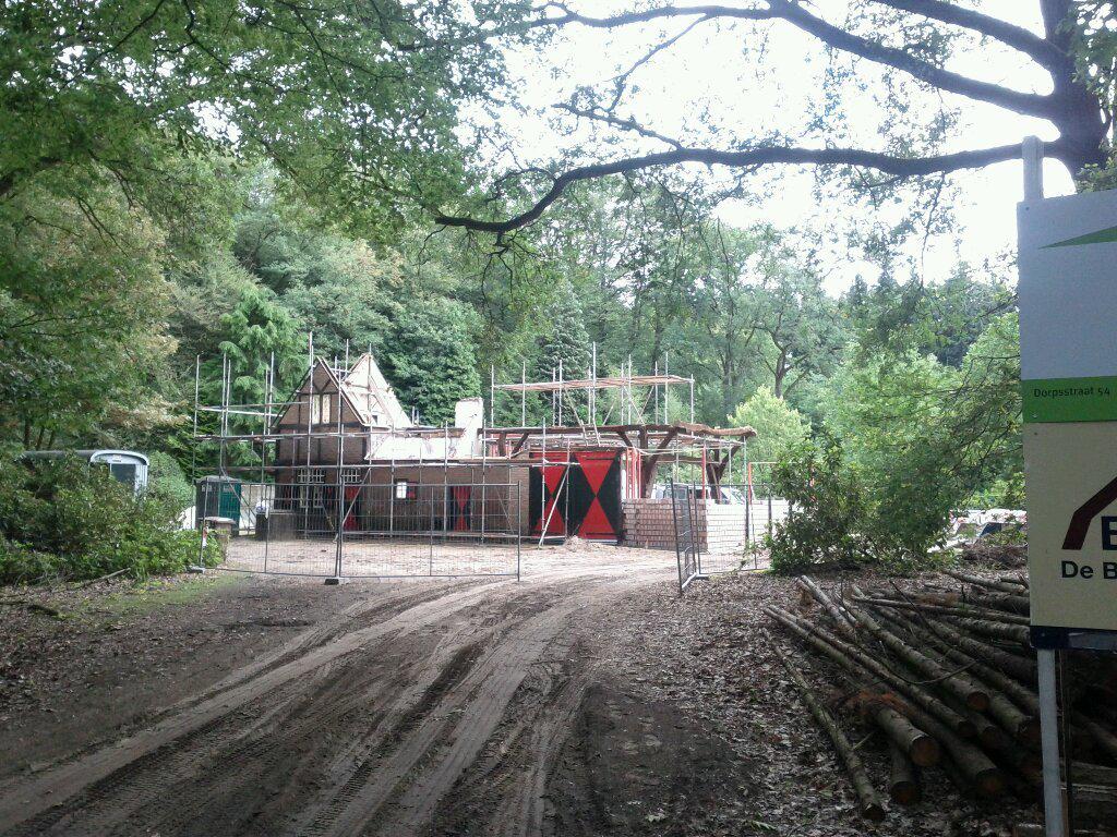 In the woods, surrounded by chirping birds, I heard a strange noise and came across this: a guy laying bricks, with the...
