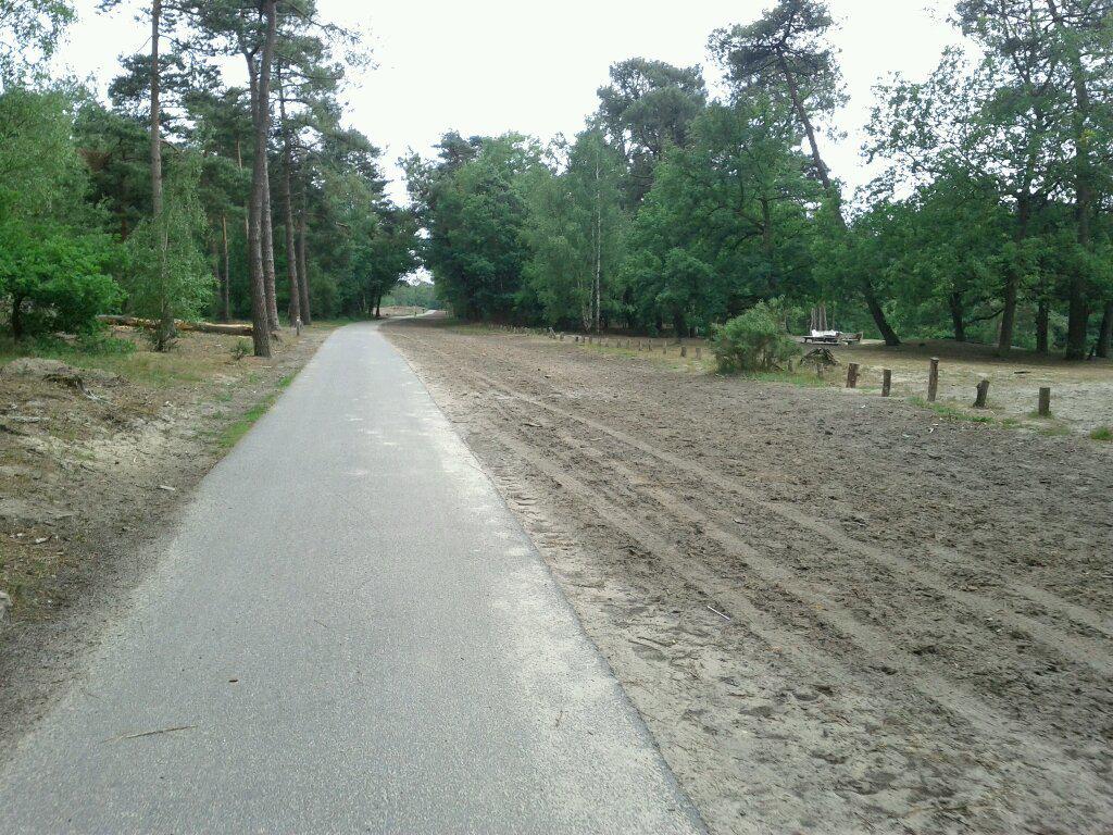 In this national park, bikes get a paved path, cars are blocked or have to drive in mud (De Loonse en Drunense Duinen)