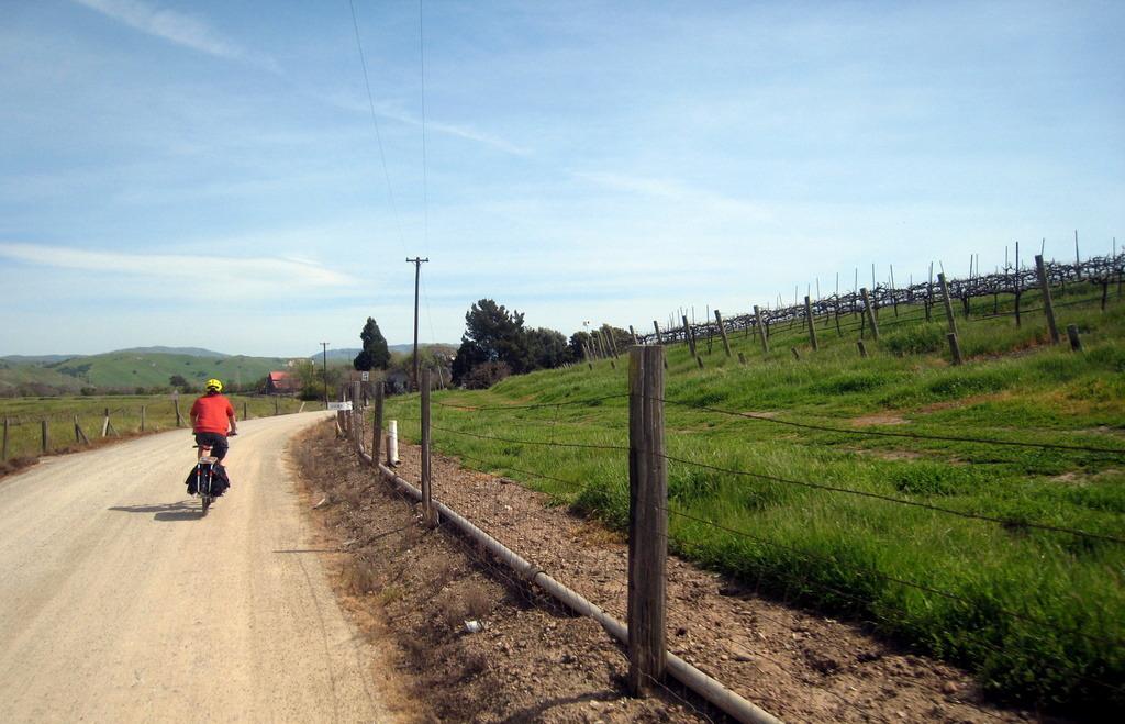 Photos from the east bay vineyard ride. The weather was pretty much perfect, and we saw jackrabbits, a wild turkey, other...