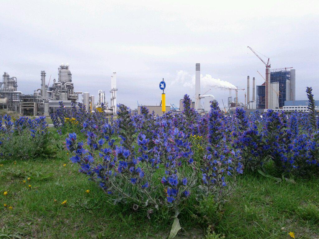 More industry