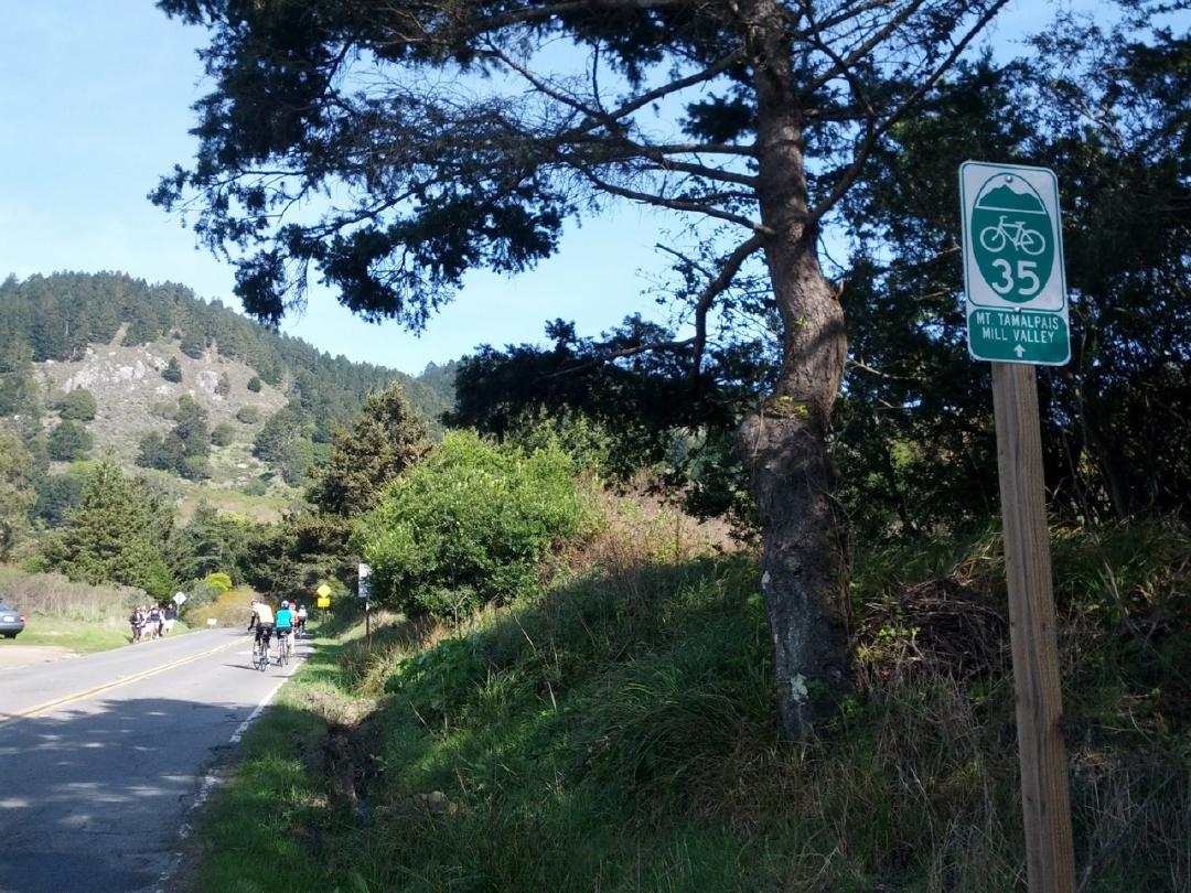 Most numbered and signposted bike routes follow the flatlands. Not the "up Mt Tam" one...