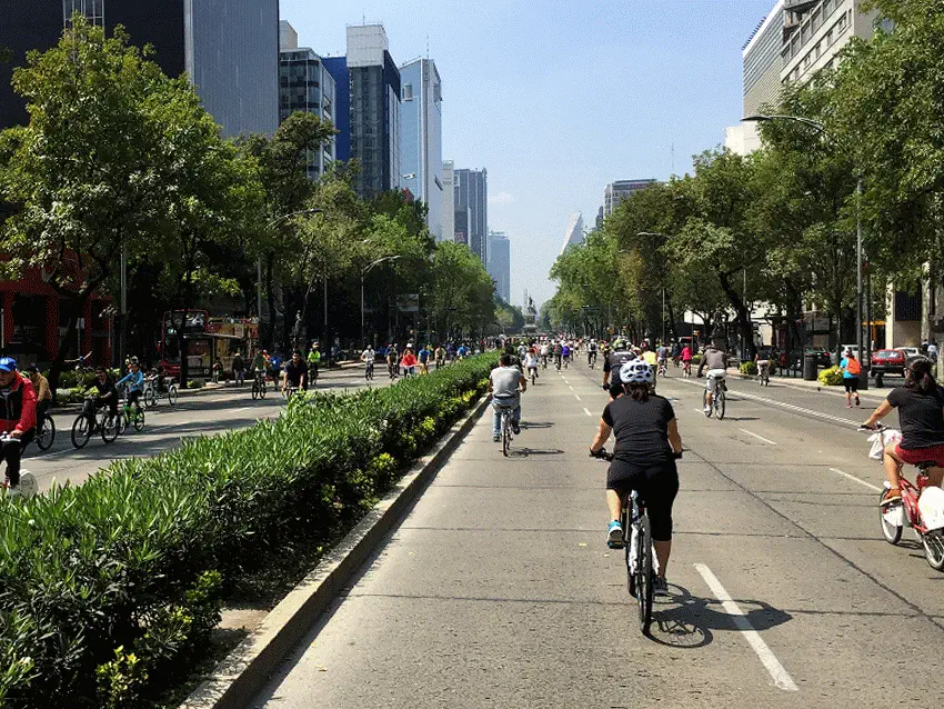 Muévete en Bici (Sunday Streets, Mexico City-- 40ish km of roads closed to cars including the major 8+ lane Paseo de Reforma--...
