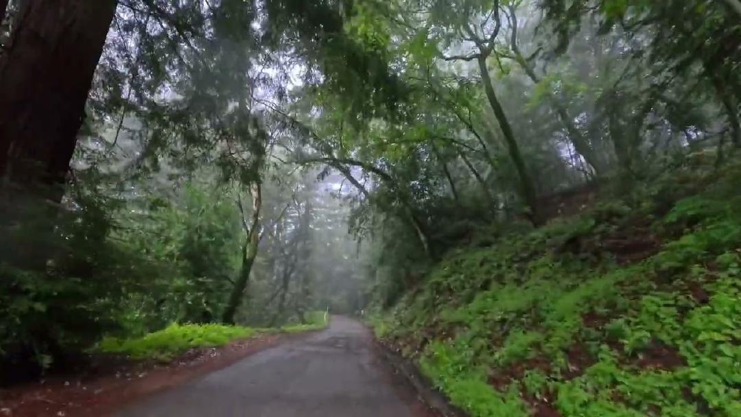 I rarely do anything with videos I record, but I've done a quick edit of the San Jose -> Santa Cruz ride (details in previous...