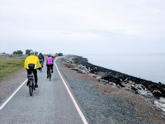 Oakland -> Fremont (Bay Trail+)