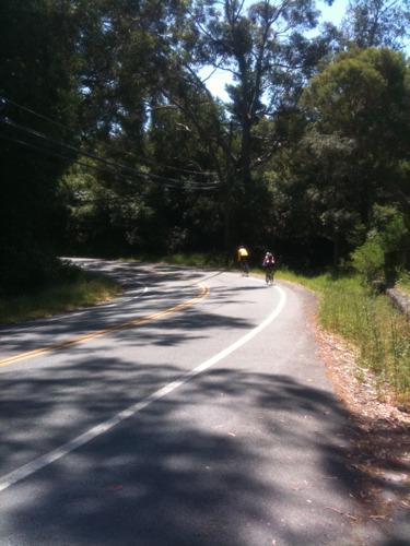 On Paradise Drive (from my phone, while riding-- some day I'm going to drop it).