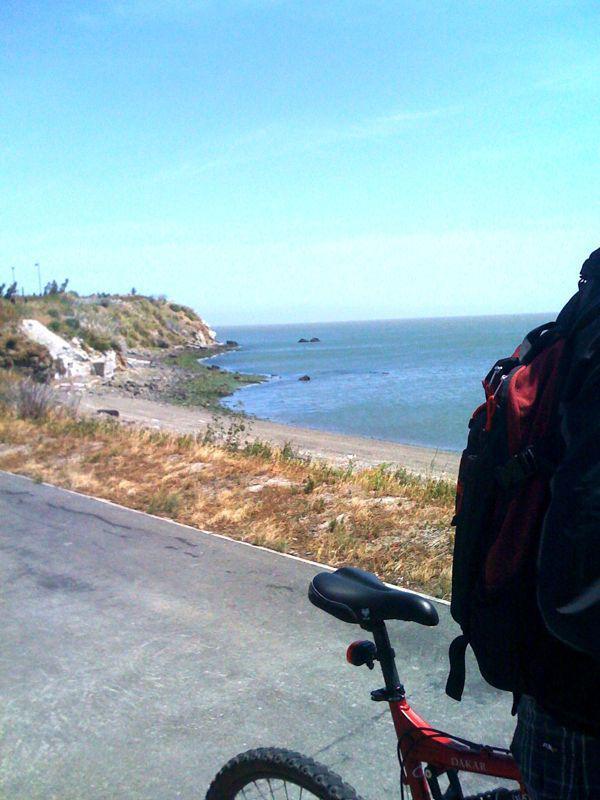 On the Bay Trail