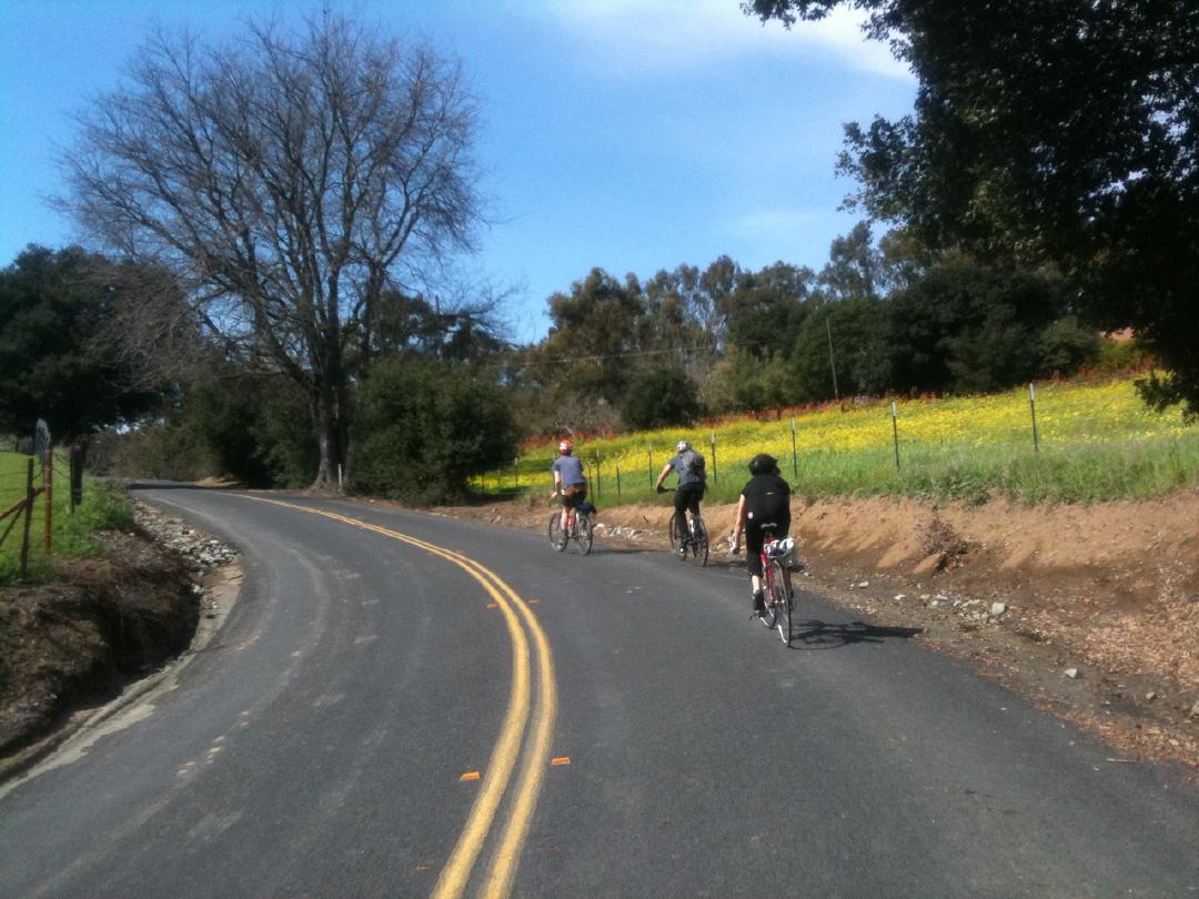 On the ride