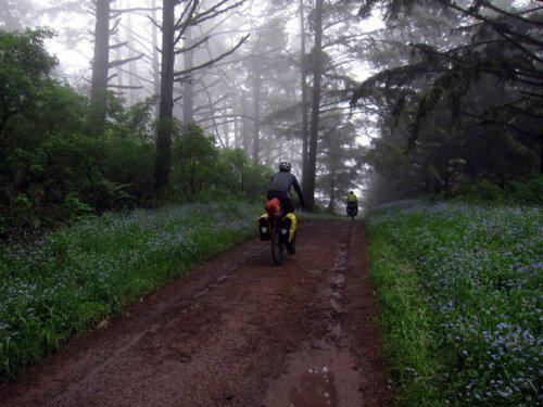 Point Reyes bike camping: Labor Day