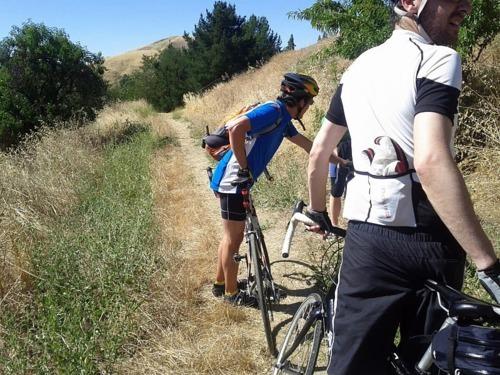 Port Costa + Picnic recap