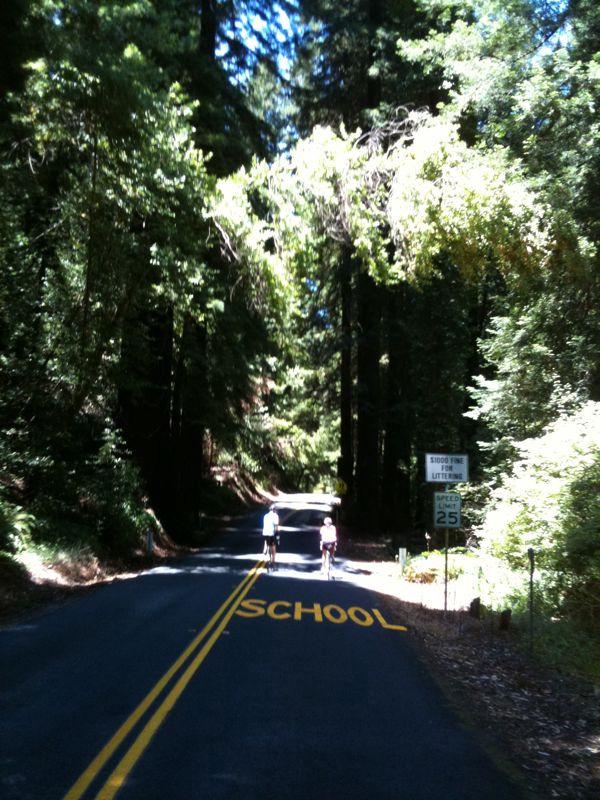Riding through the redwoods (there’s a school ahead??)