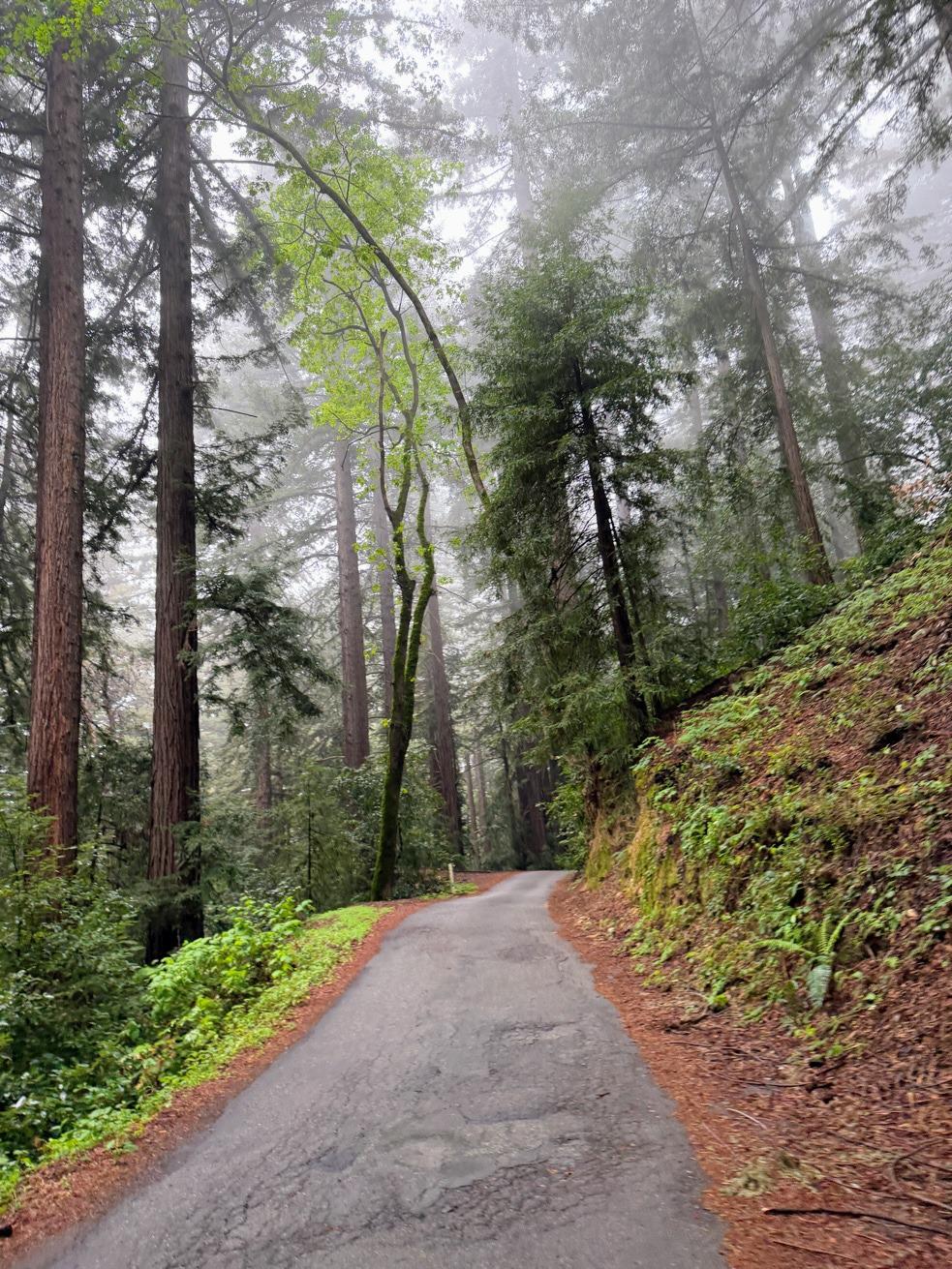 San Jose to Santa Cruz on quiet back roads