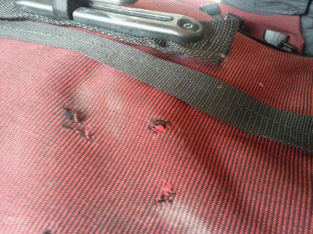 Some animal nibbled at my panniers overnight (earlier in the trip)! After that, I moved all snacks to a suspended-above-ground...