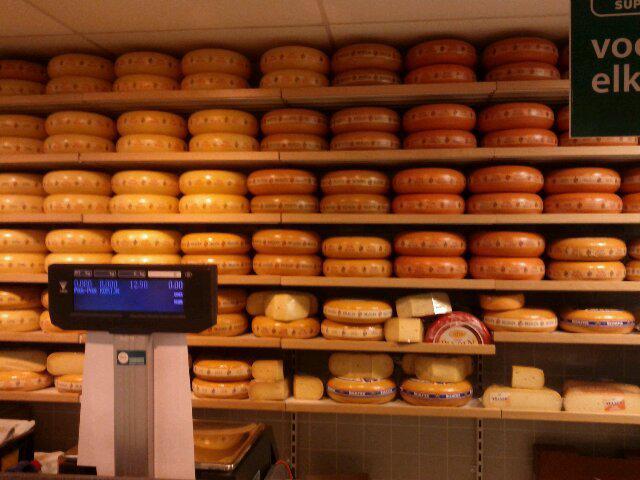 Supermarket cheese area (mostly Gouda, of course)