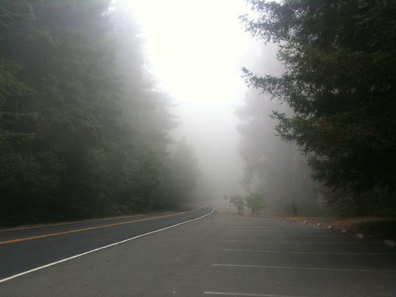 The morning fog in Tilden that burned off.