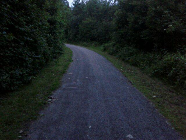 This where-am-I-going? path through the woods led to a €10 hostel (Stayokay Dordrecht) w/ showers, wifi, bar with 7 interesting...
