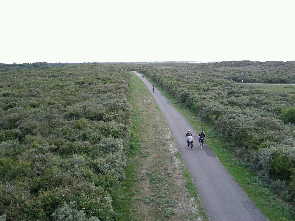 View from an observation tower by the side of a path.