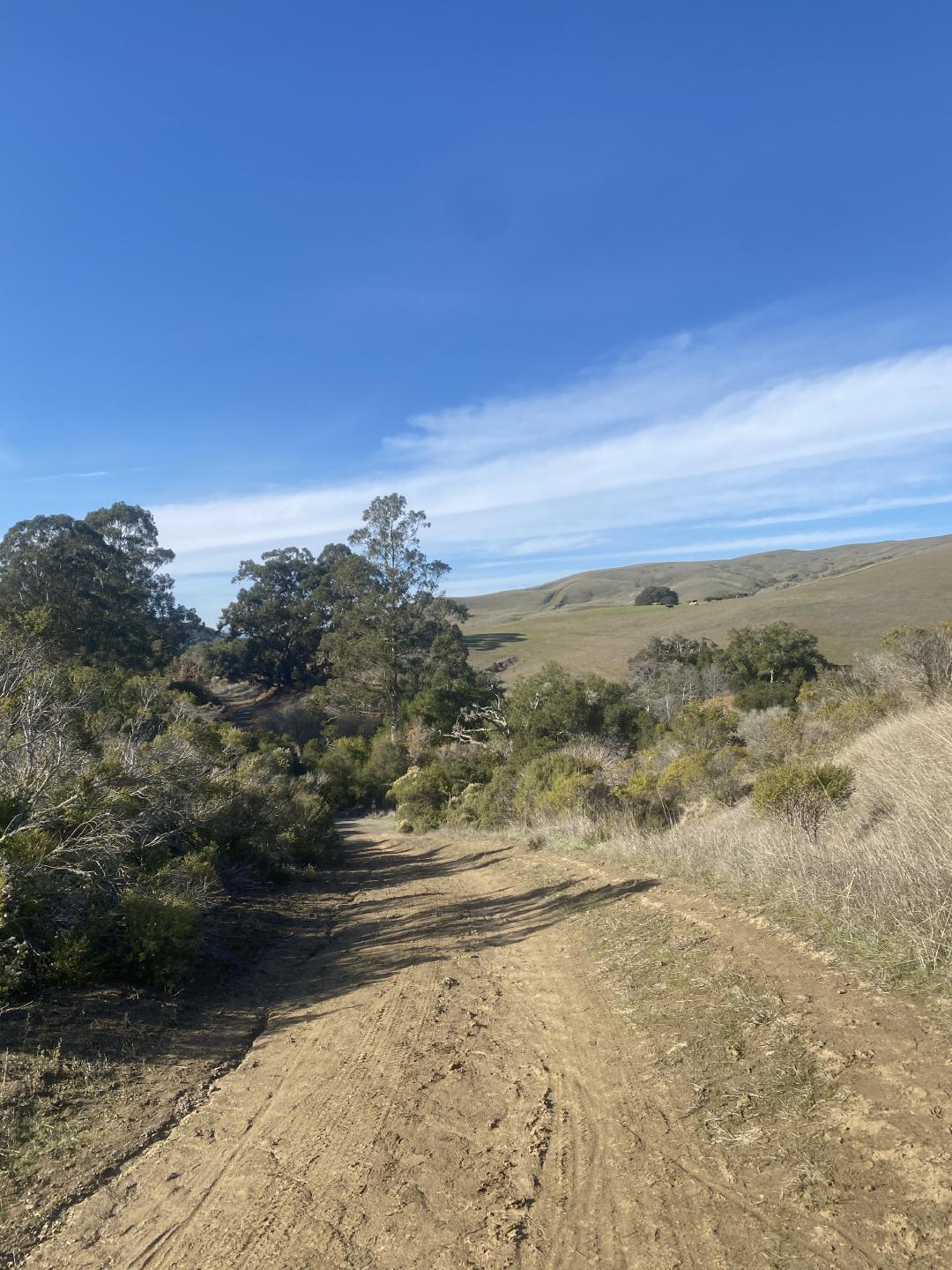 Wildcat Creek Trail Gravel